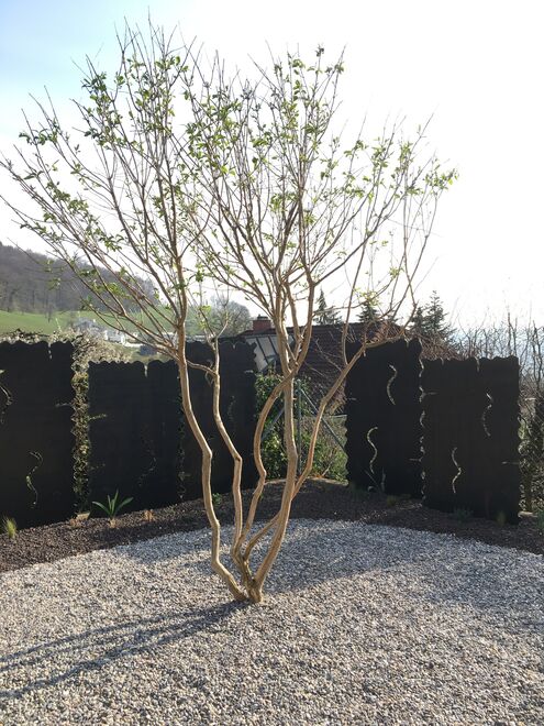 Foto von Frey Gärten Gmbh
