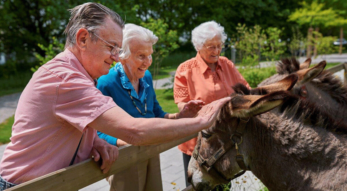 Foto von Alters- und Pflegezentrum Amriswil