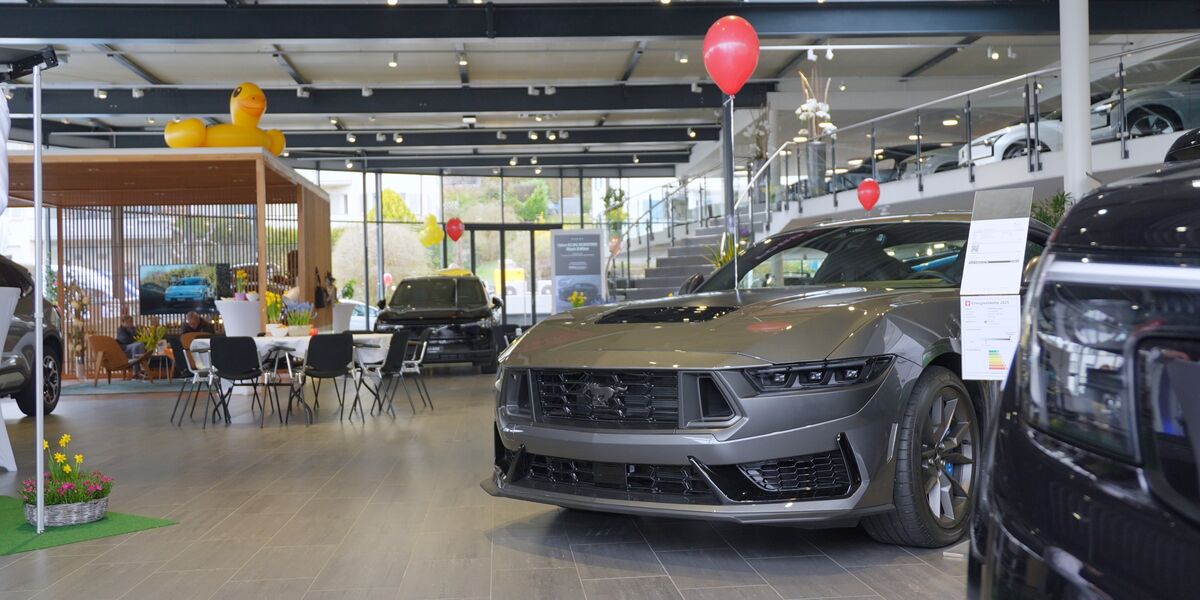 Foto von Garage Helbling AG Rapperswil