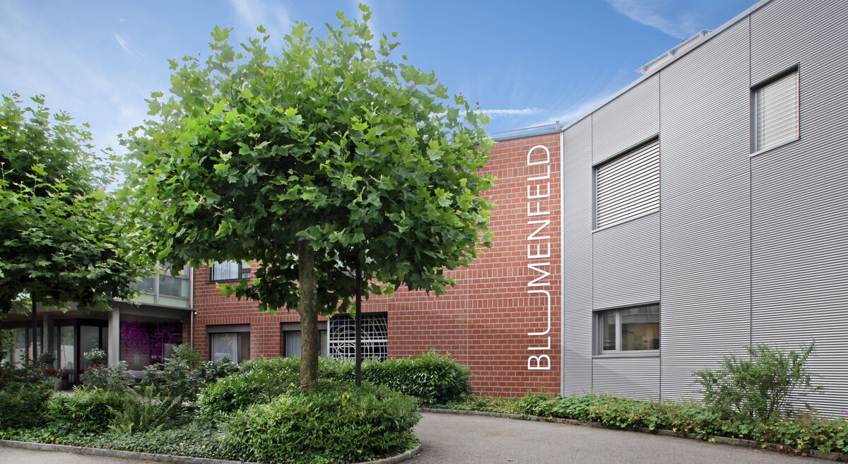 Foto von Stiftung Blumenfeld