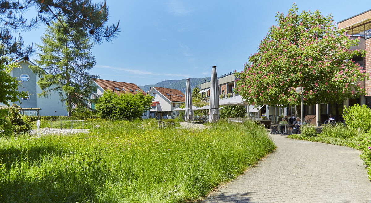 Foto von Stiftung Blumenfeld