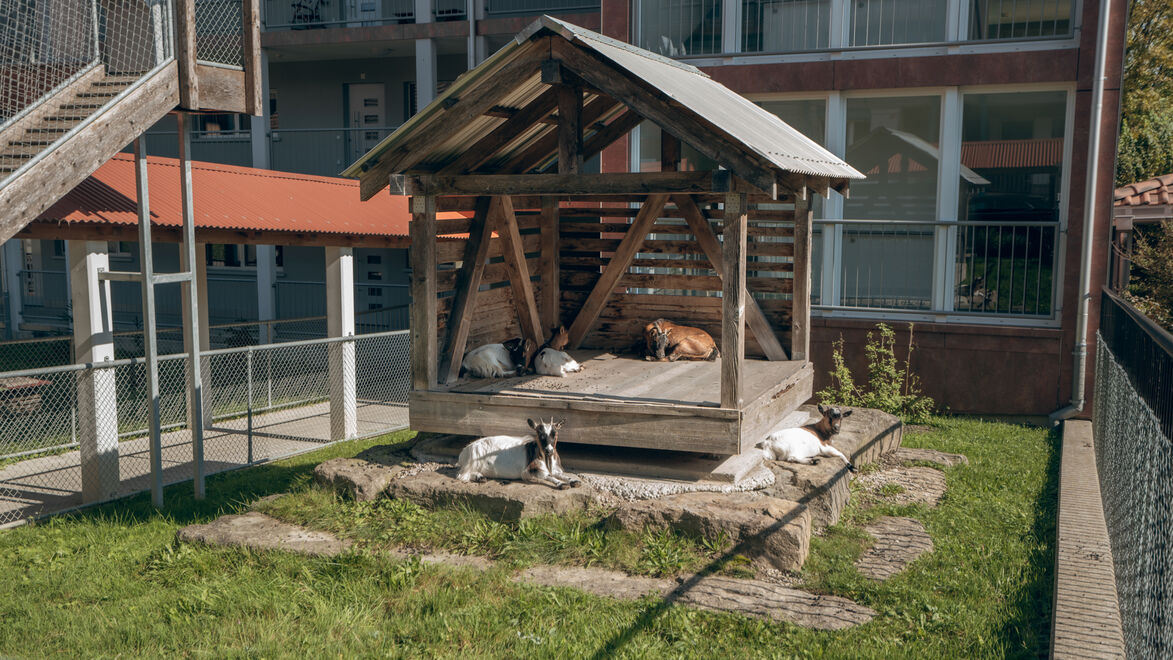 Foto von Altersheim Hächleren AG