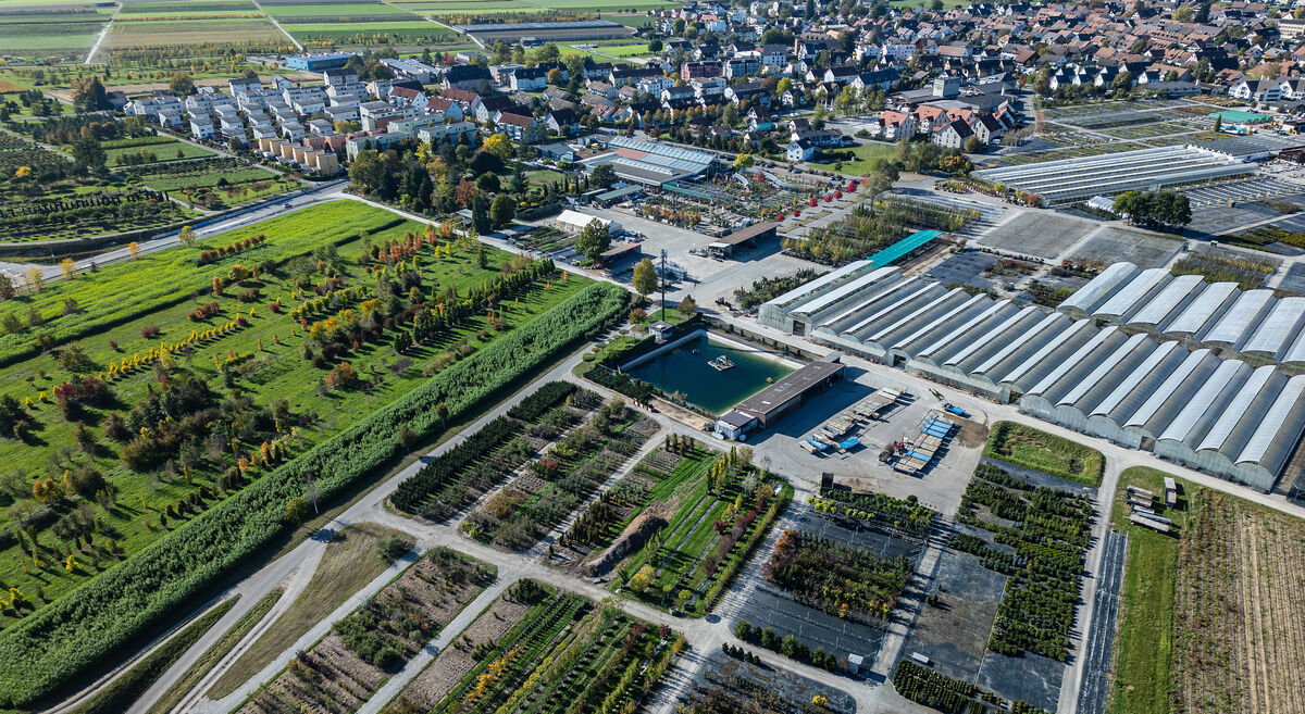 Foto von Hauenstein AG
