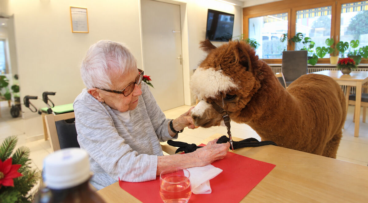 Foto von Alterszentrum am Etzel