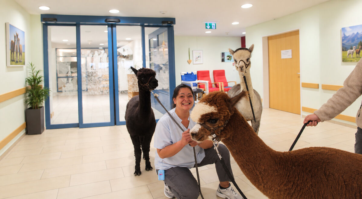 Foto von Alterszentrum am Etzel