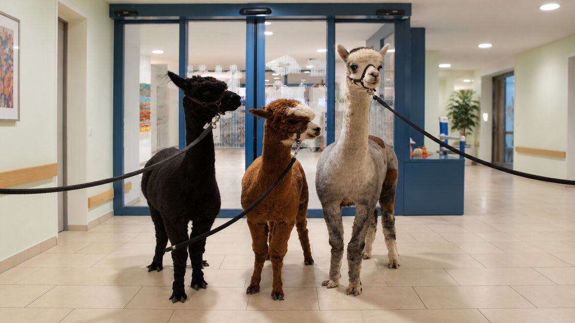 Foto von Alterszentrum am Etzel