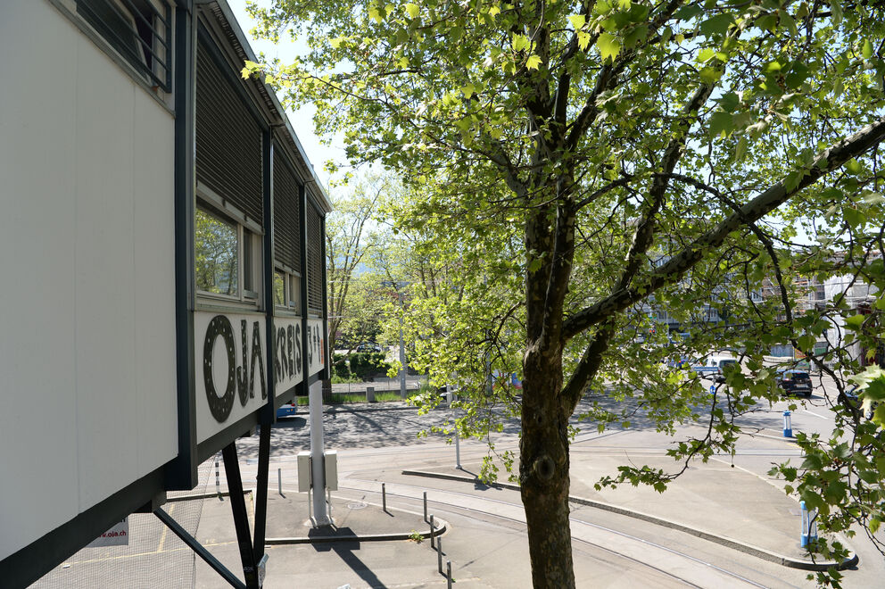 Foto von Verein OJA Offene Jugendarbeit Zürich