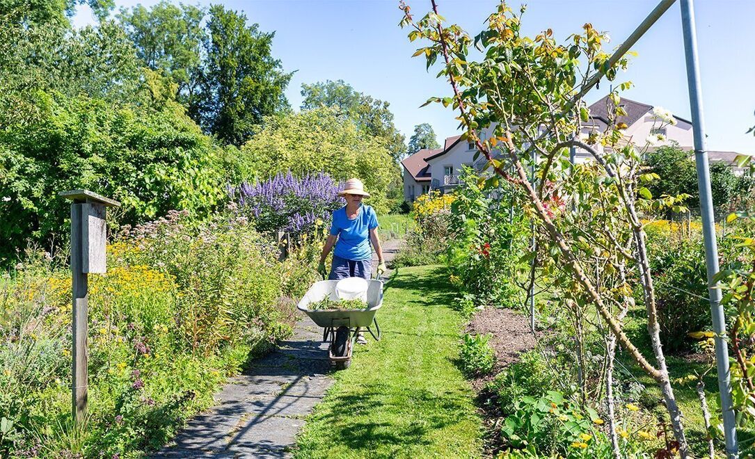 Foto von Gemeinnütziger Verein Sonnengarten