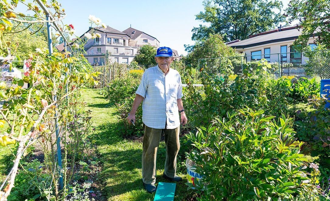 Foto von Gemeinnütziger Verein Sonnengarten